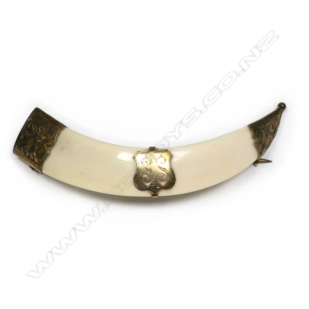 R.T. Young 9ct gold mounted boar's tusk brooch, Image 1++